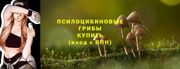 ALPHA-PVP Надым