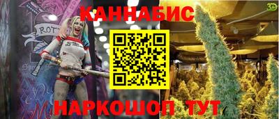 стафф Пенза