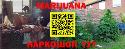 стафф Пенза