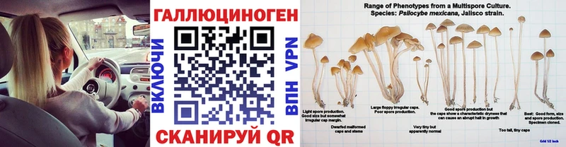 Псилоцибиновые грибы Cubensis  как найти закладки  Павловский Посад 