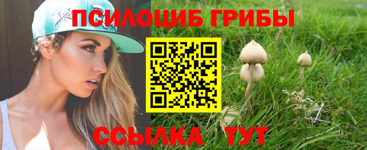 Павловский Посад  Псилоцибиновые грибы мицелий  Вход с VPN 