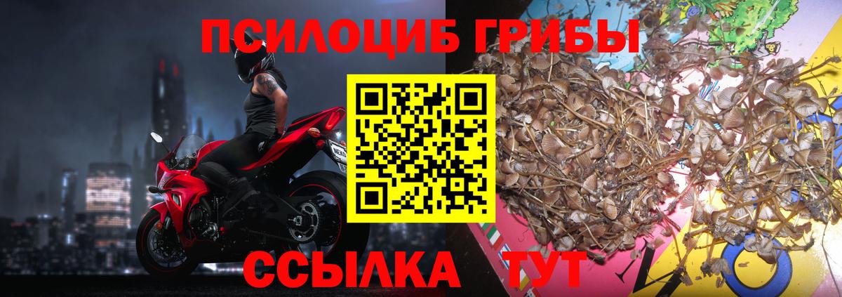 Галлюциногенные грибы ЛСД Павловский Посад